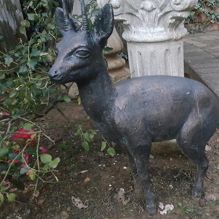 Gemsbok Cottage เบธเลเฮม ภายนอก รูปภาพ