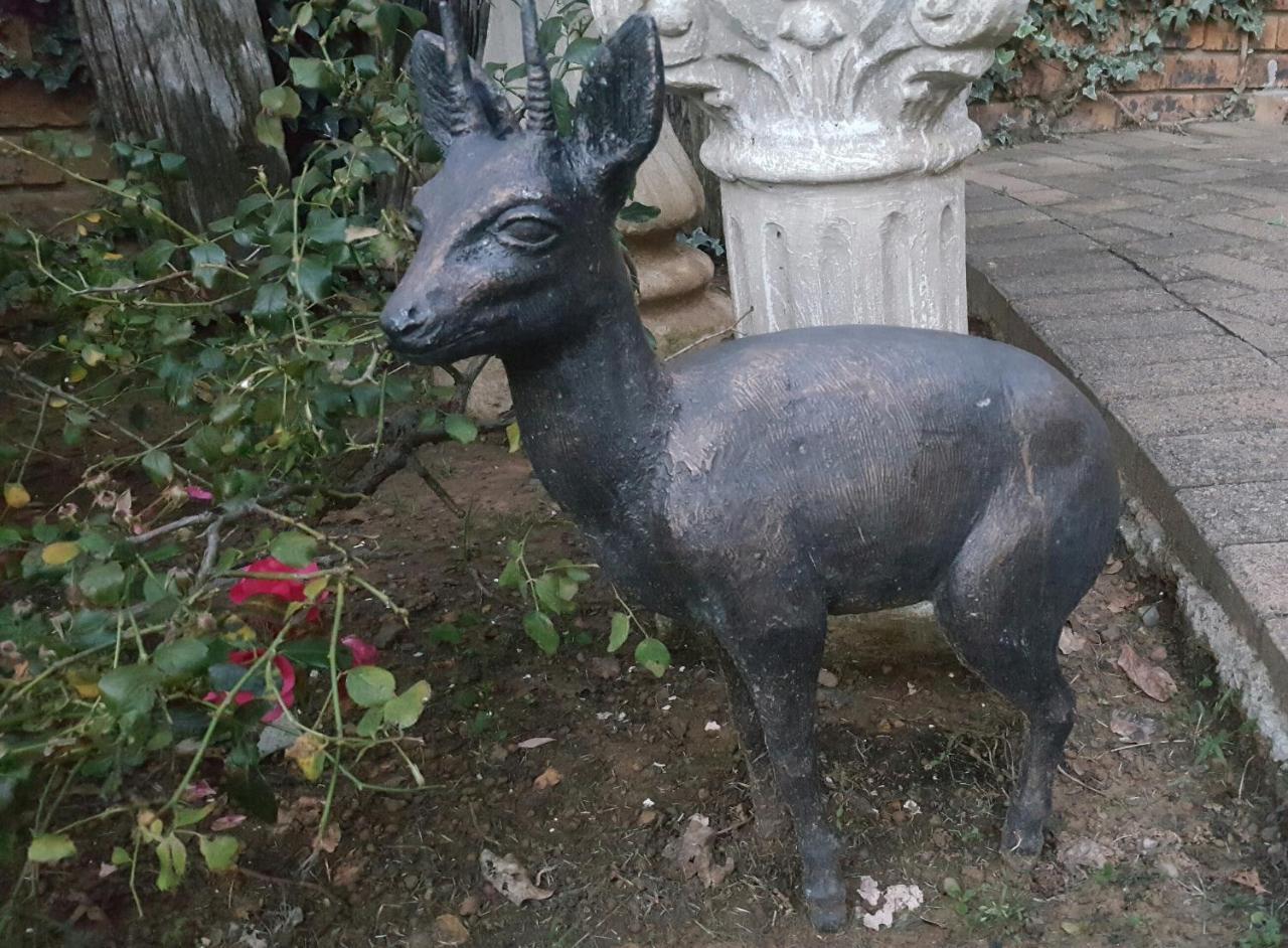 Gemsbok Cottage เบธเลเฮม ภายนอก รูปภาพ